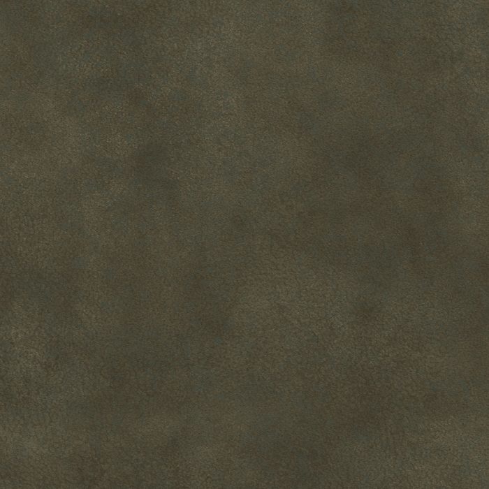 T2-MD-15 FOREST