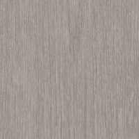 T2-SW-07 FOSSIL
