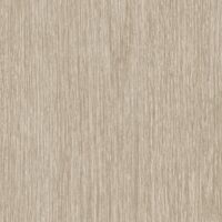 T2-SW-10 CLAY