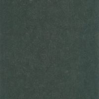 VEGE 20127 67 07