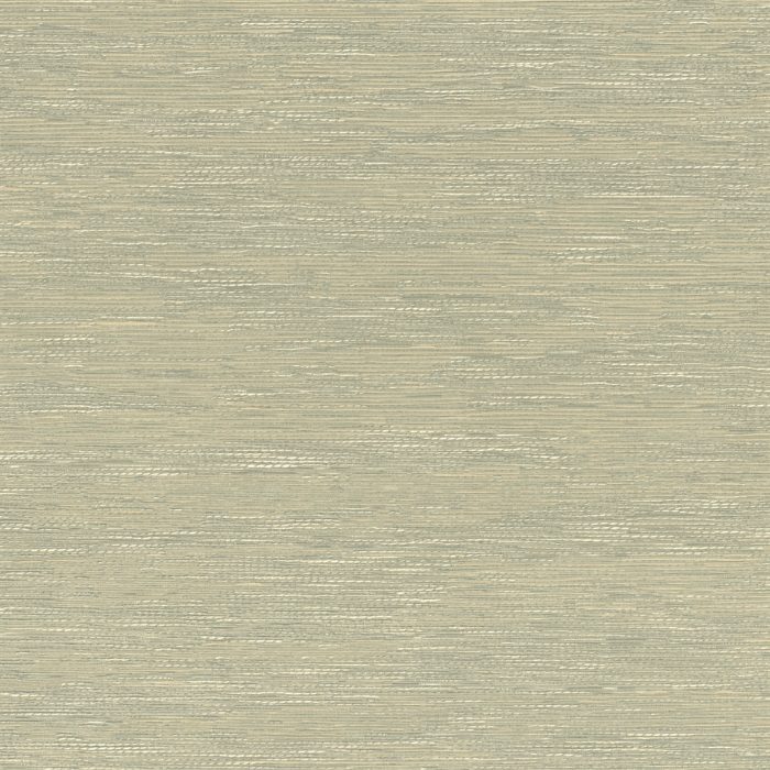 C75343364