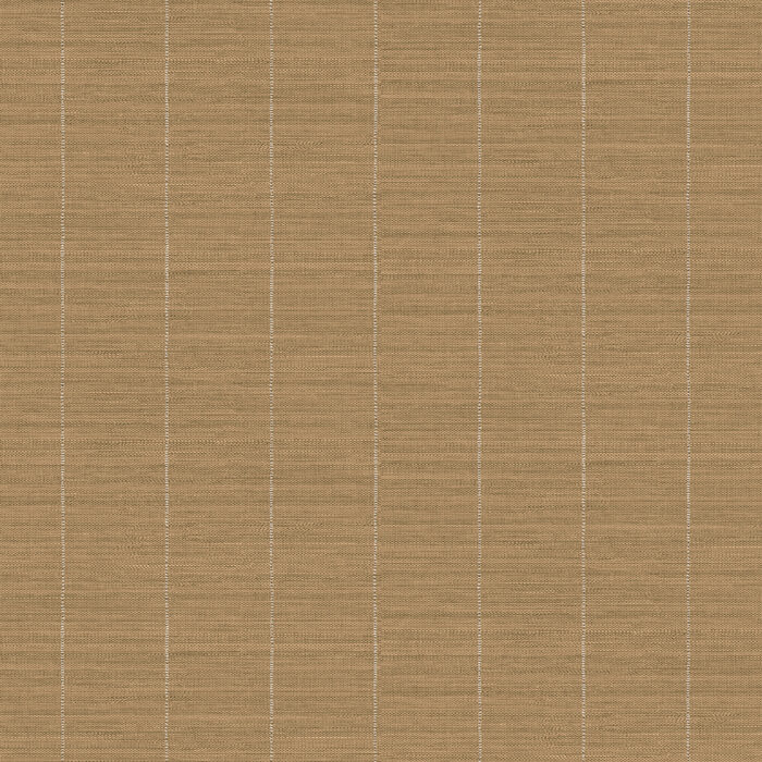 JOY204(R)