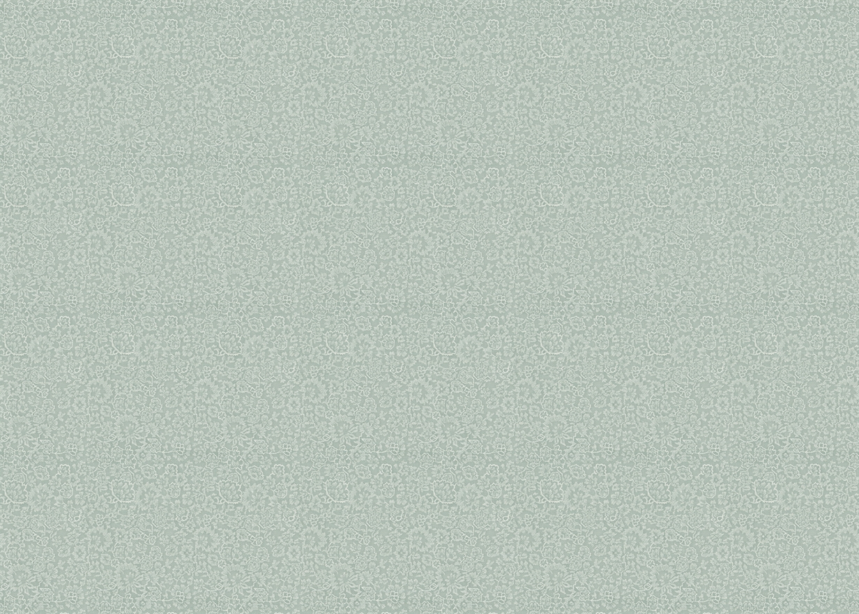 BAREEK-CELADON