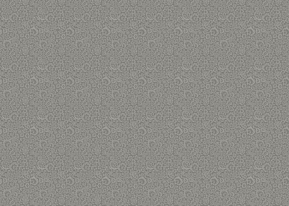BAREEK-FOSSIL