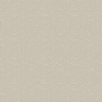 BAREEK-TAUPE