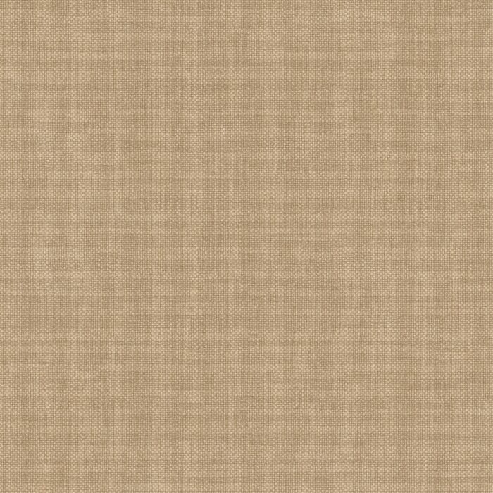 104991796