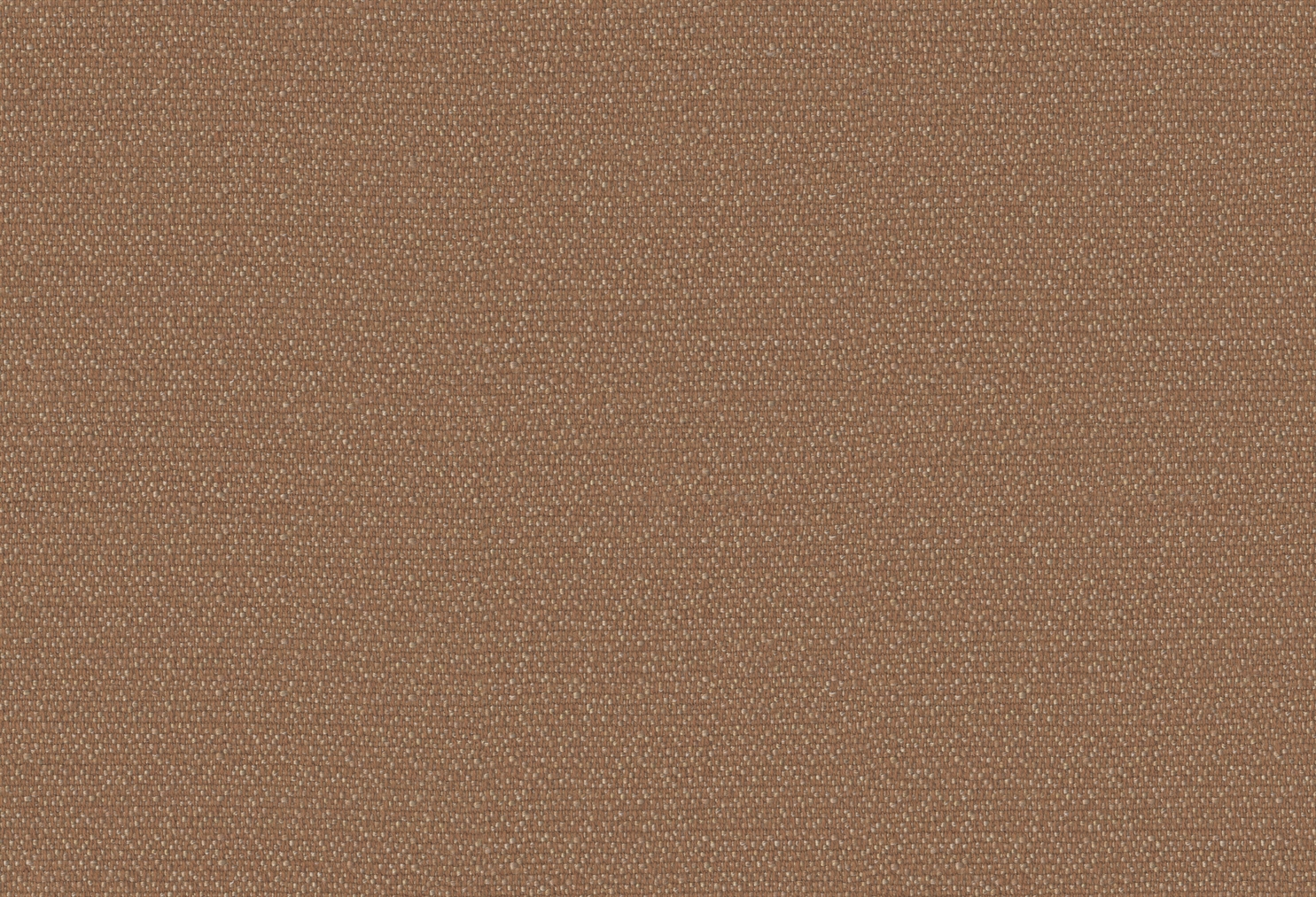 13022-NUTMEG