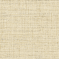 RA45107
