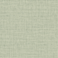 RA45133