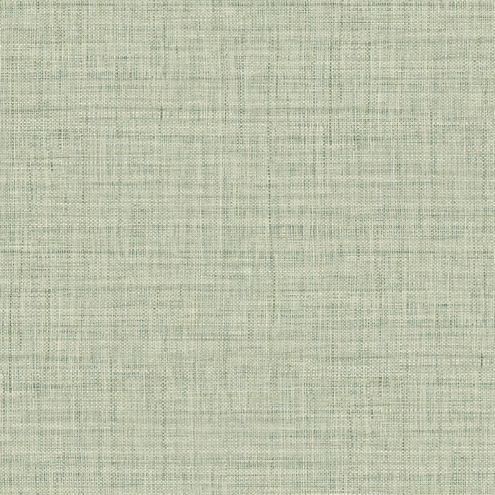 RA45133