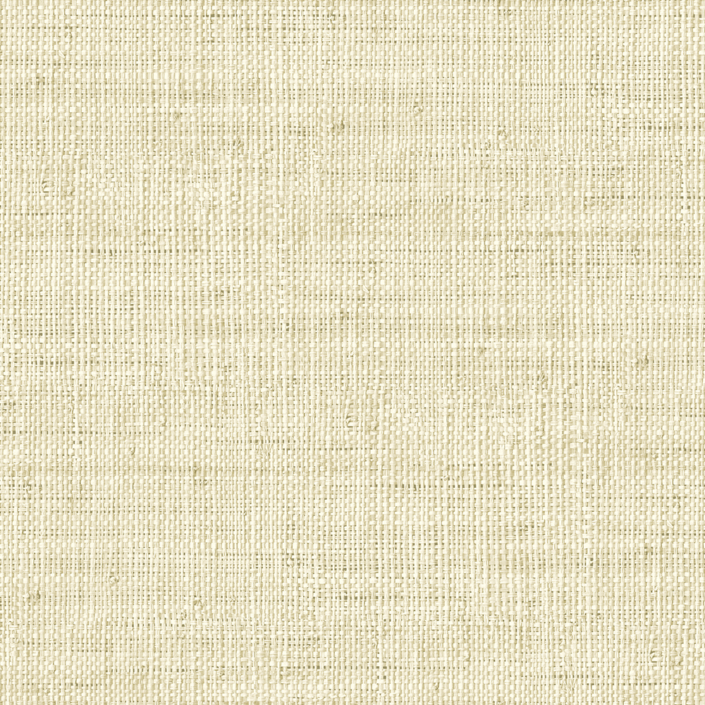 RA45303