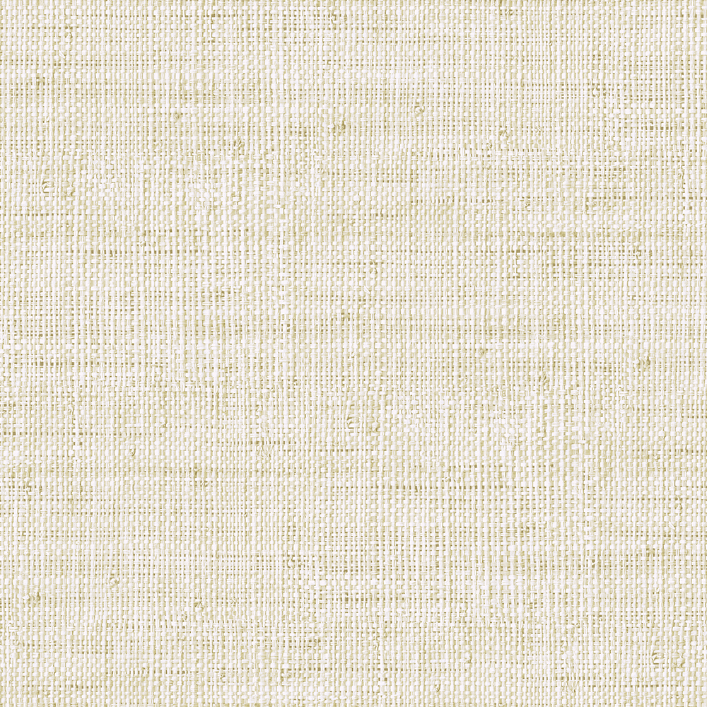 RA45311