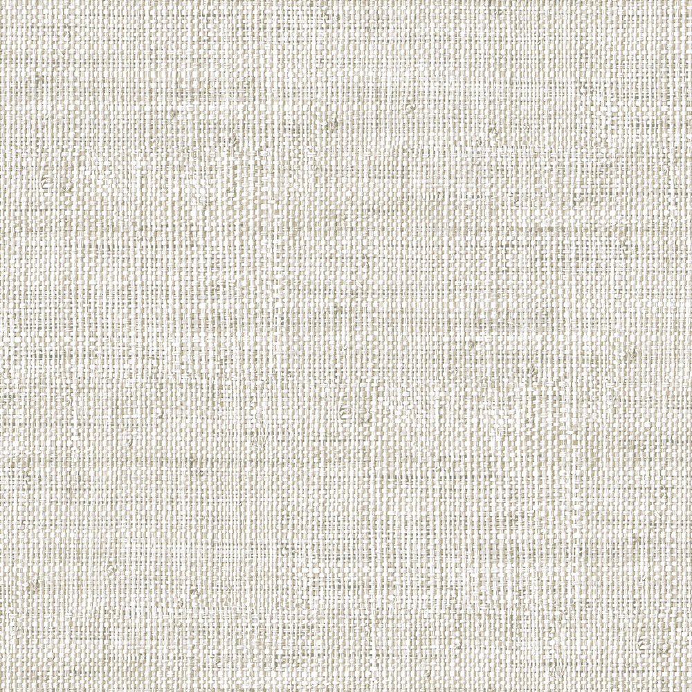 RA45313