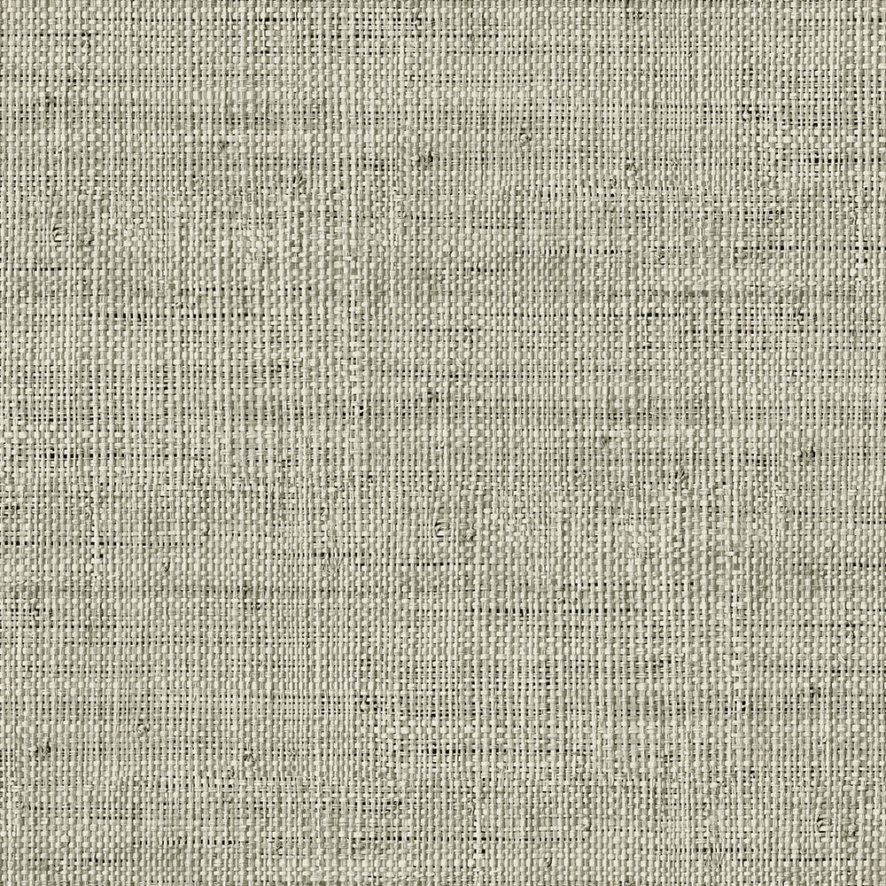 RA45317