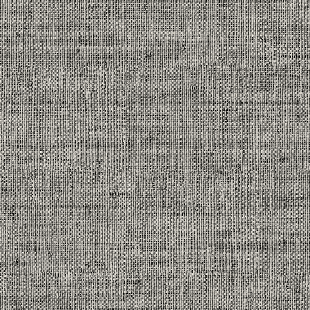 RA45319
