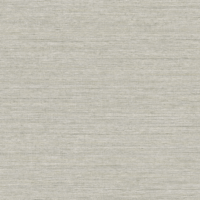 RA45911