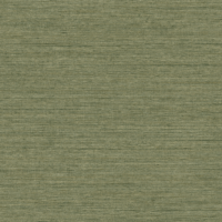 RA45913