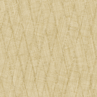 RA46204