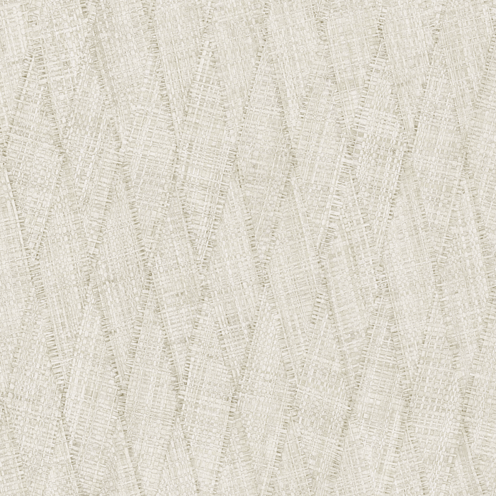 RA46211