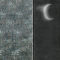 WDCN2402
