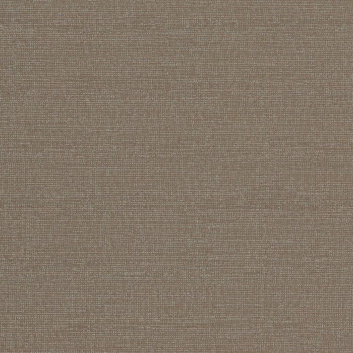 W2-CG-08