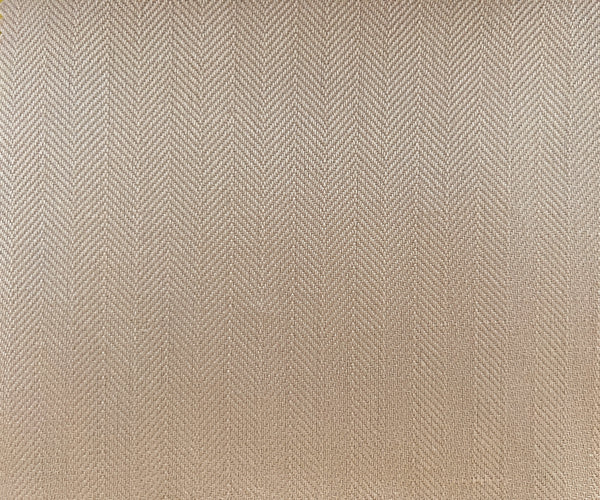 2007-TAPIOCA