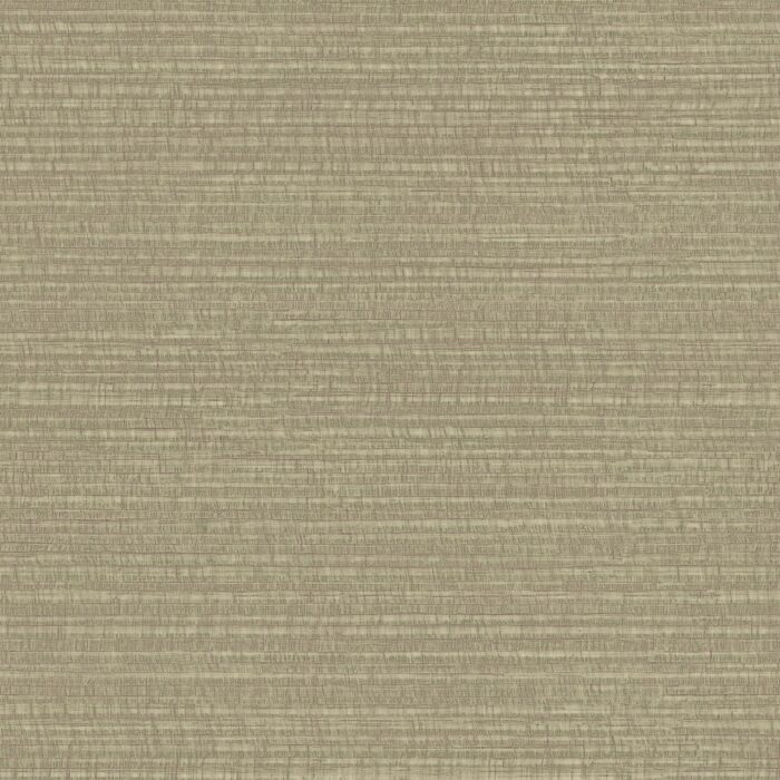 26242