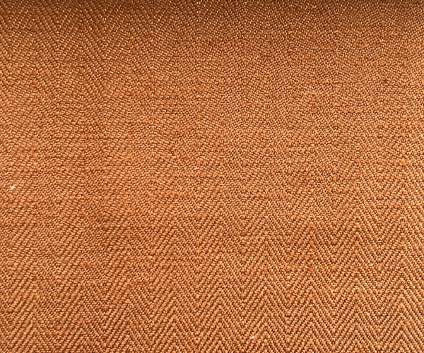 AJMER-4031 PUMPKIN