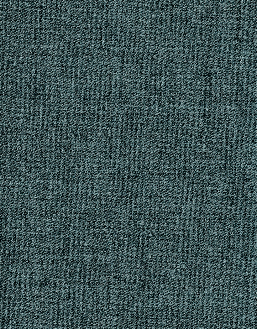 TOMATO T4 MOSAIC