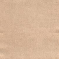 KIWI M17 TINT