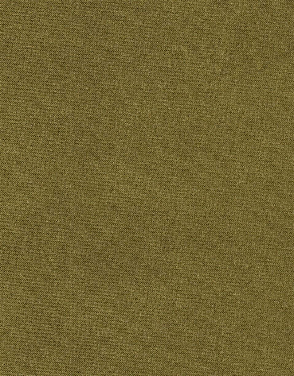 GUAVA B4 CEDAR GREEN