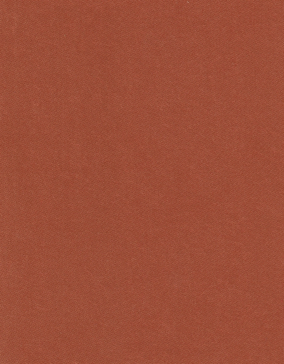 GUAVA K2 SALSA