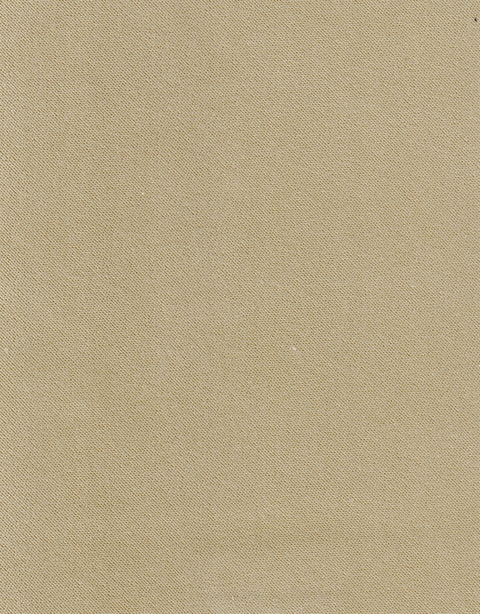 GUAVA Q12 FOSSIL