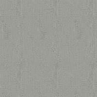 AFSANA-SILVER GREY