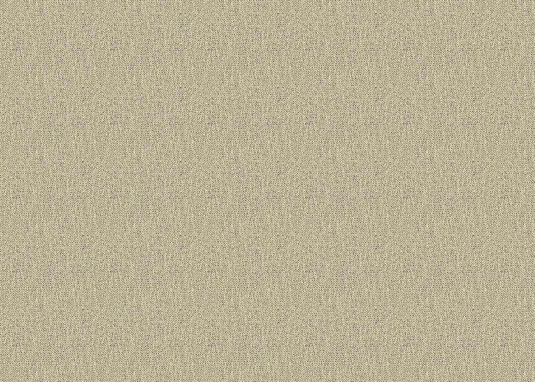 BEACHCOMBER-FOSSIL