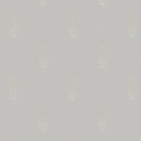 CUDDALORE-SILVER GREY