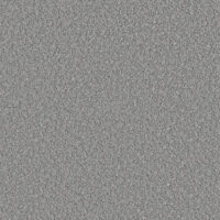 FRIZZ - STEEL GREY