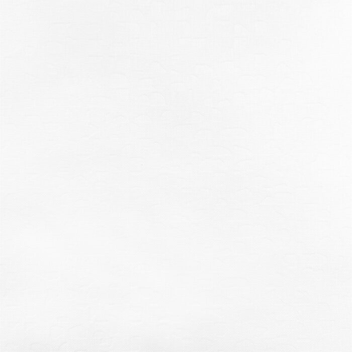 S216PE6048
