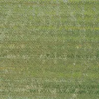 ID-1526