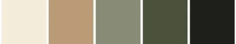 MODERN EARTHY Palette
