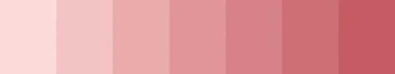 SOFT LUXURY / BLUSH NEUTRALS Palette