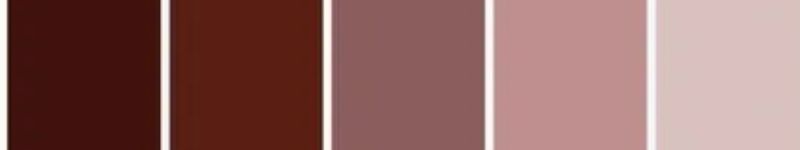 BOLD & ELEGANT Palette