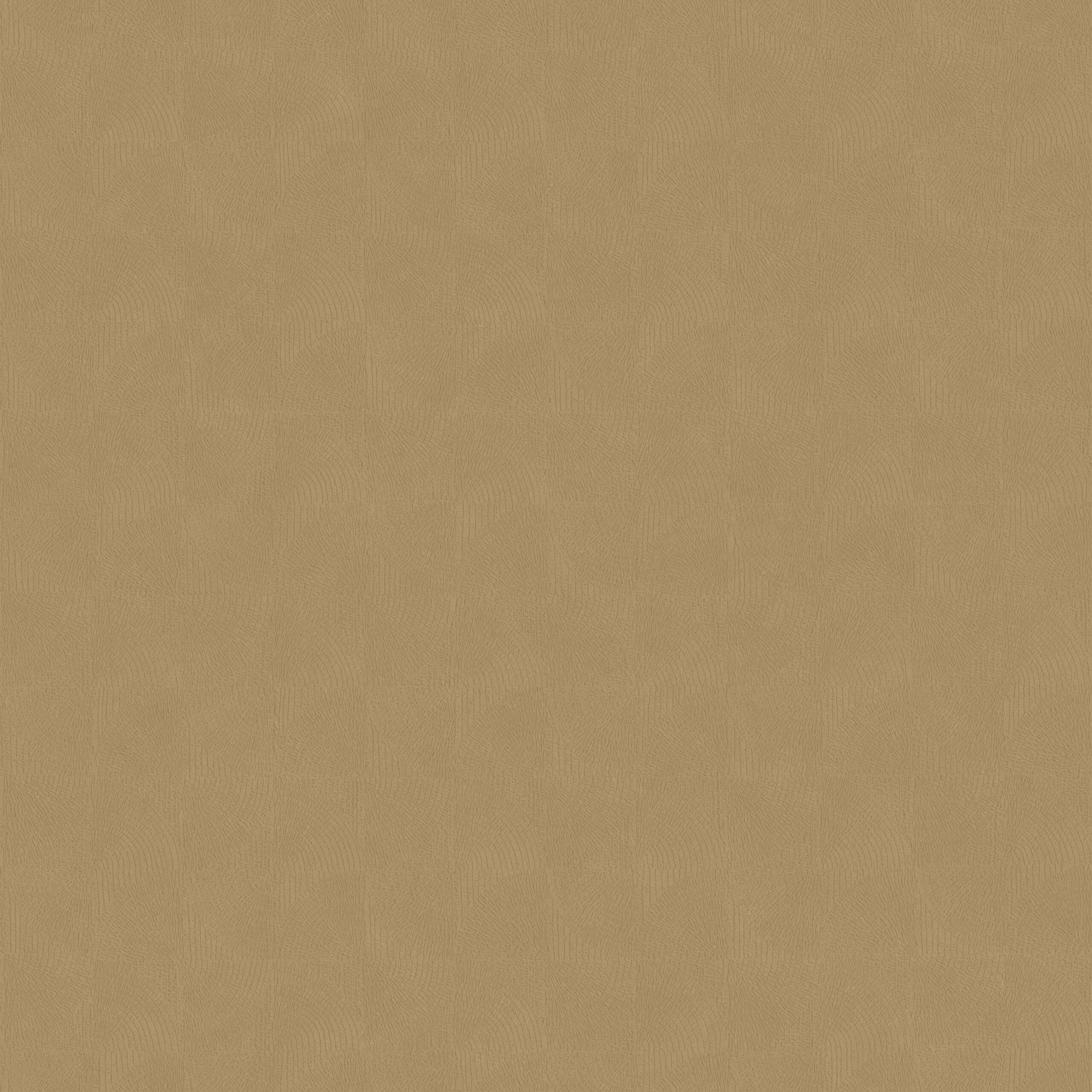 SOLA201882651(R)