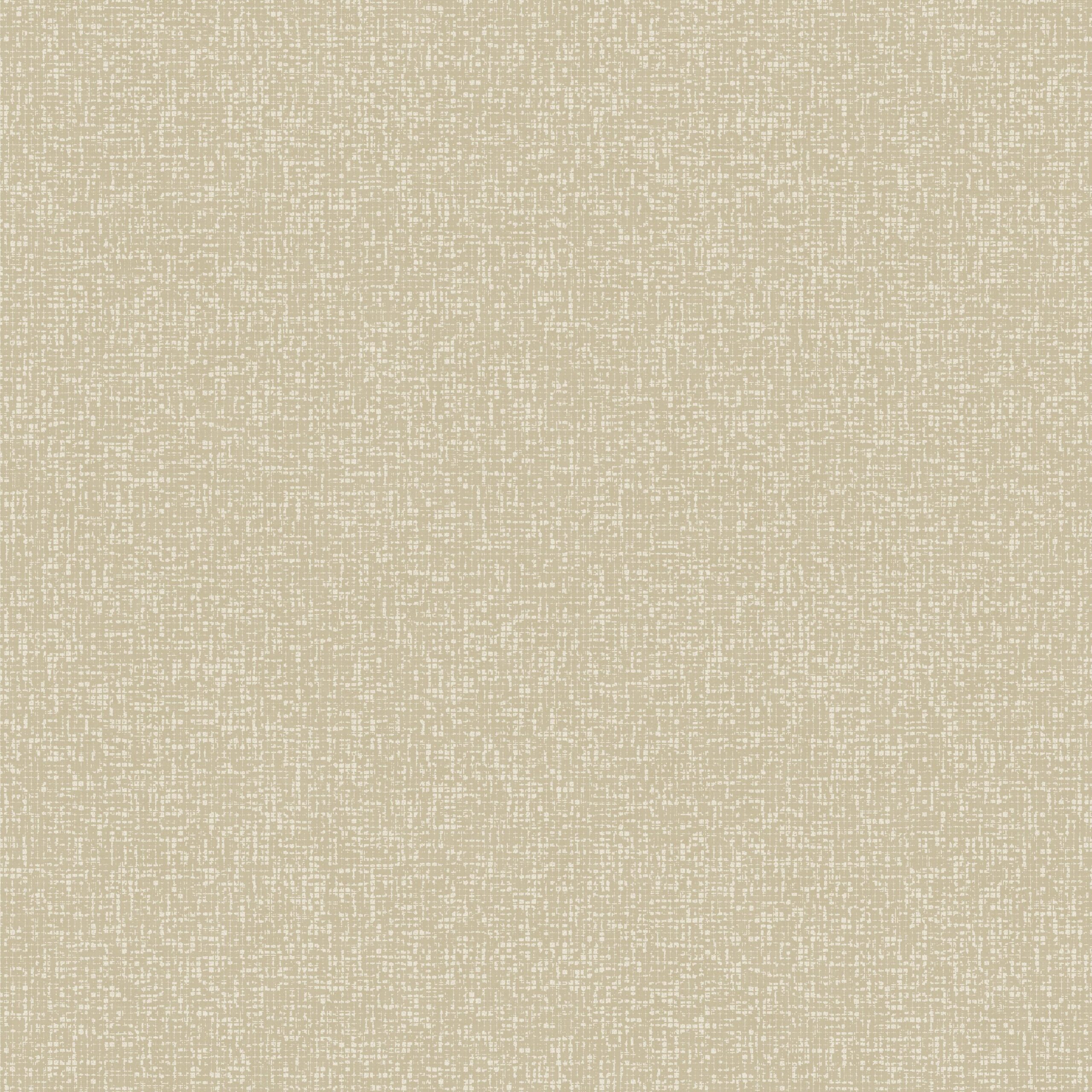 SOLA201901622