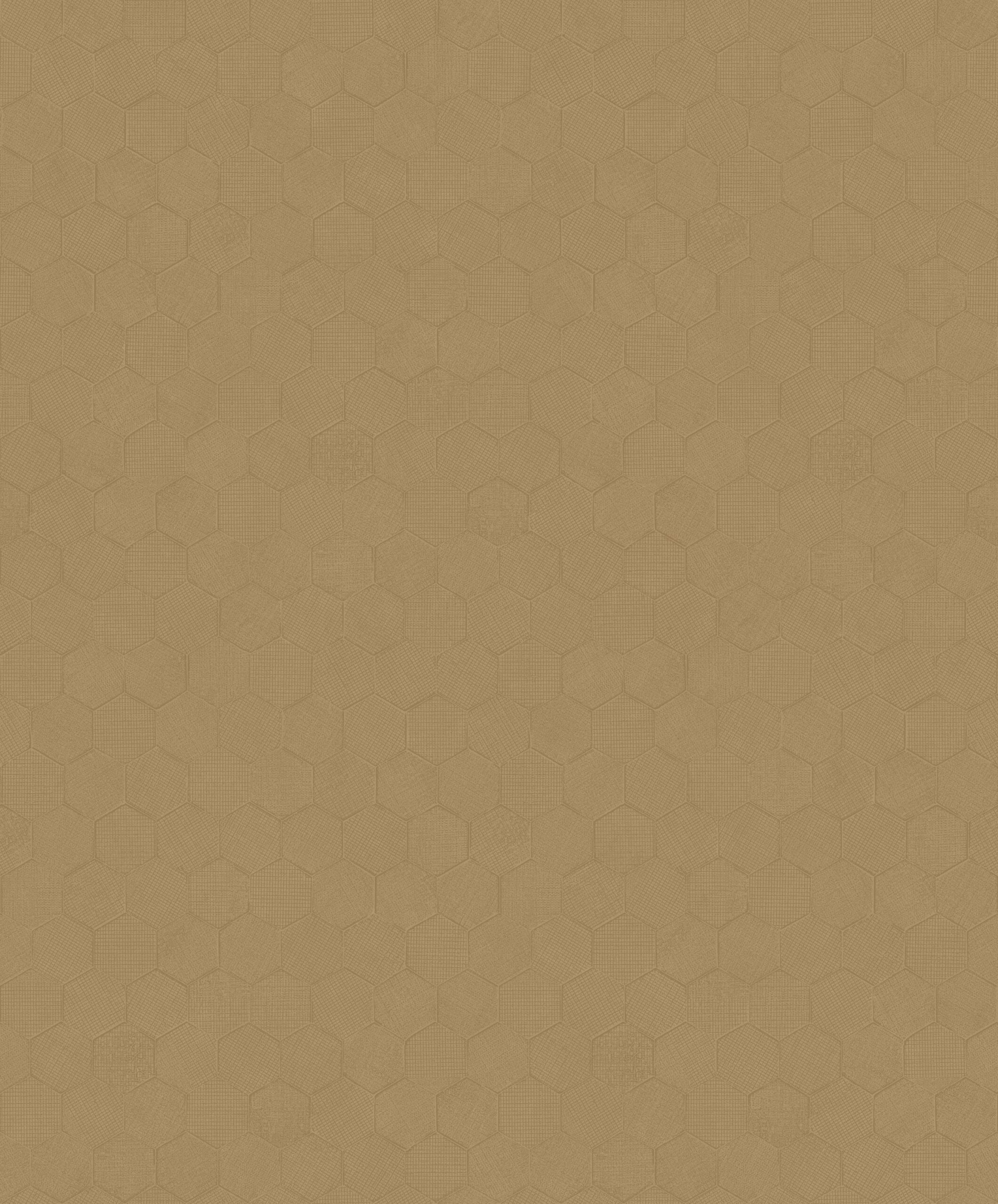 SOLA201912888(R)