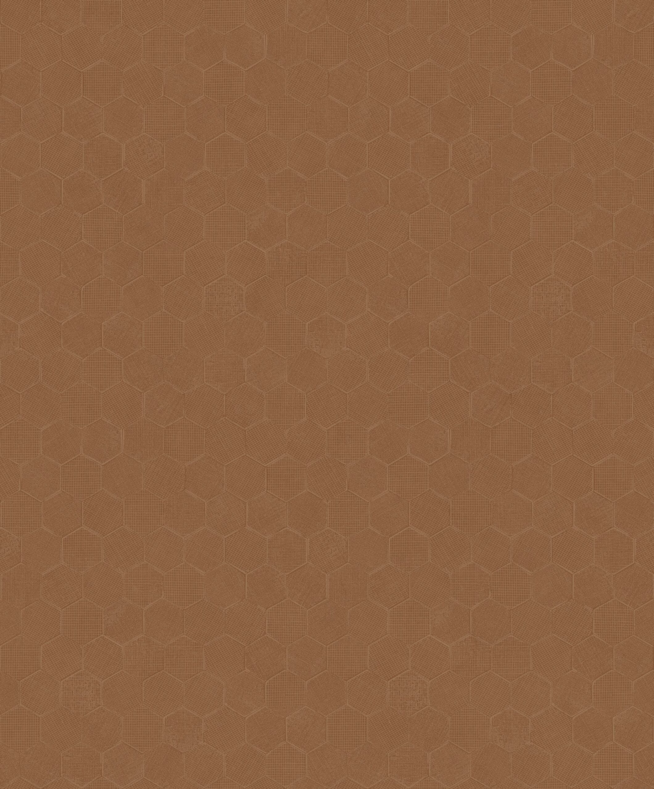 SOLA201913000
