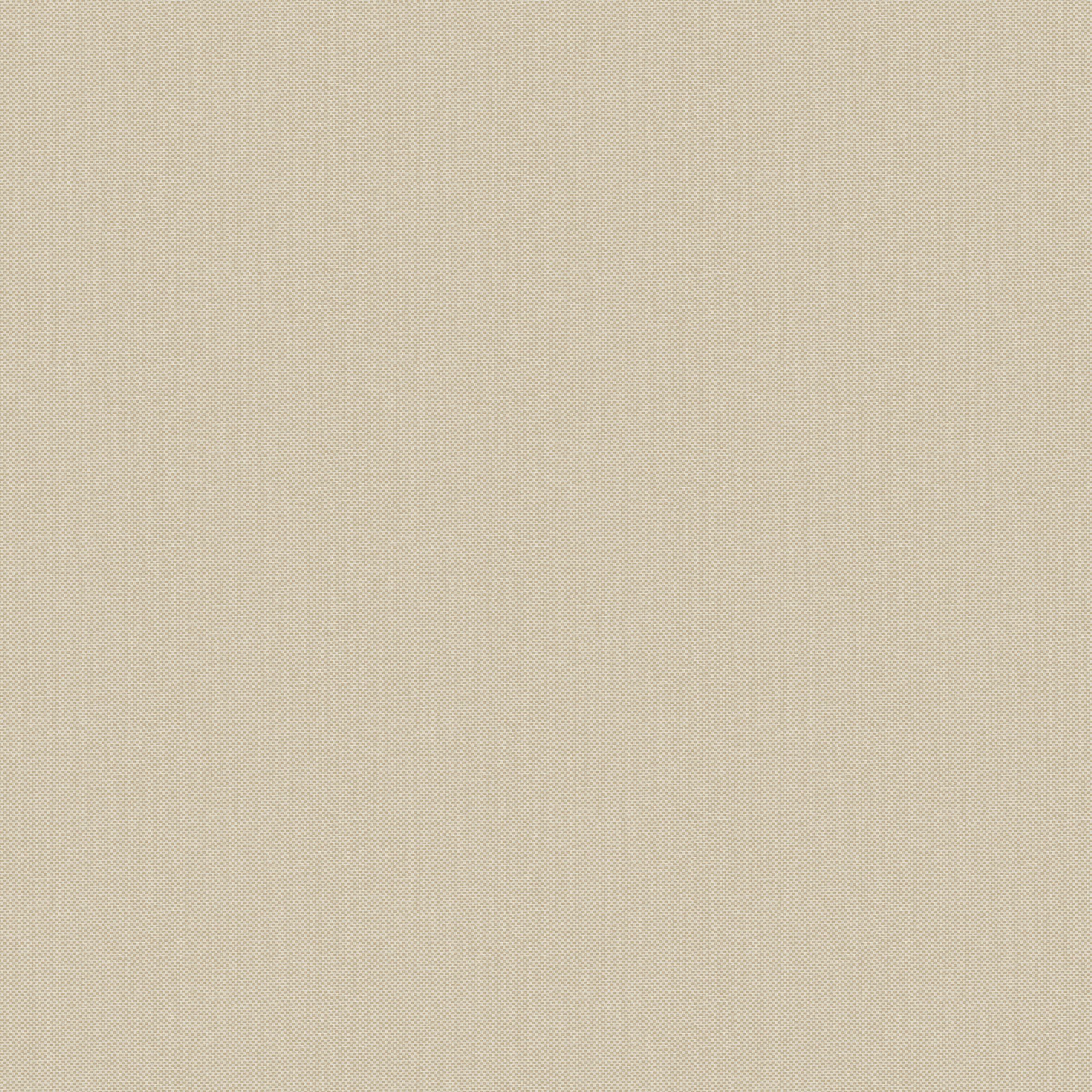 NAE2101560032