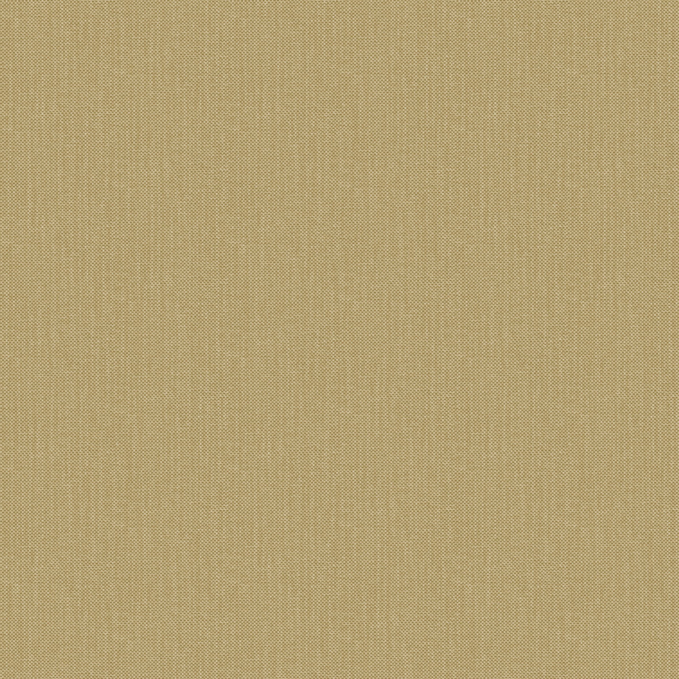 NAE2101561047