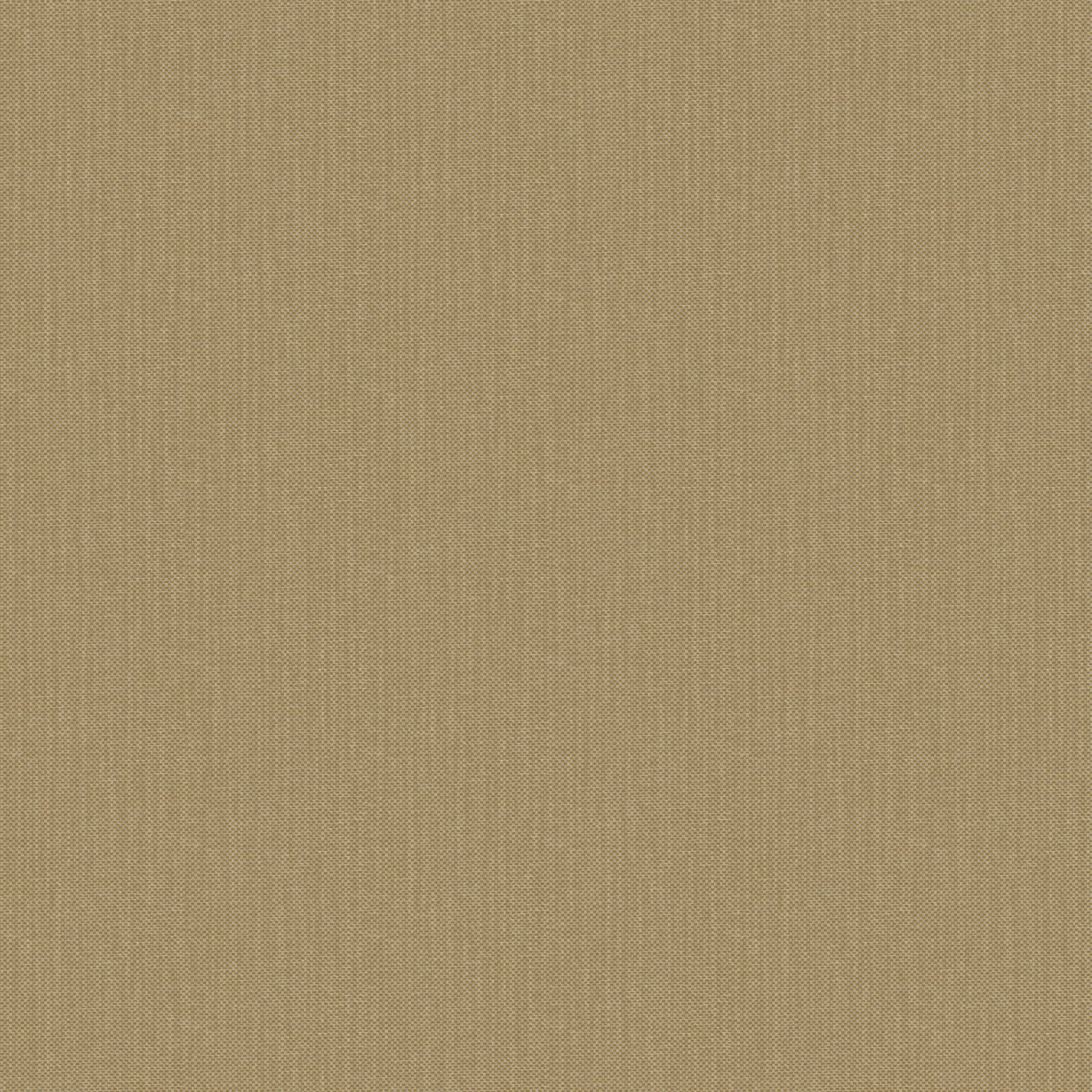 NAE2101561670