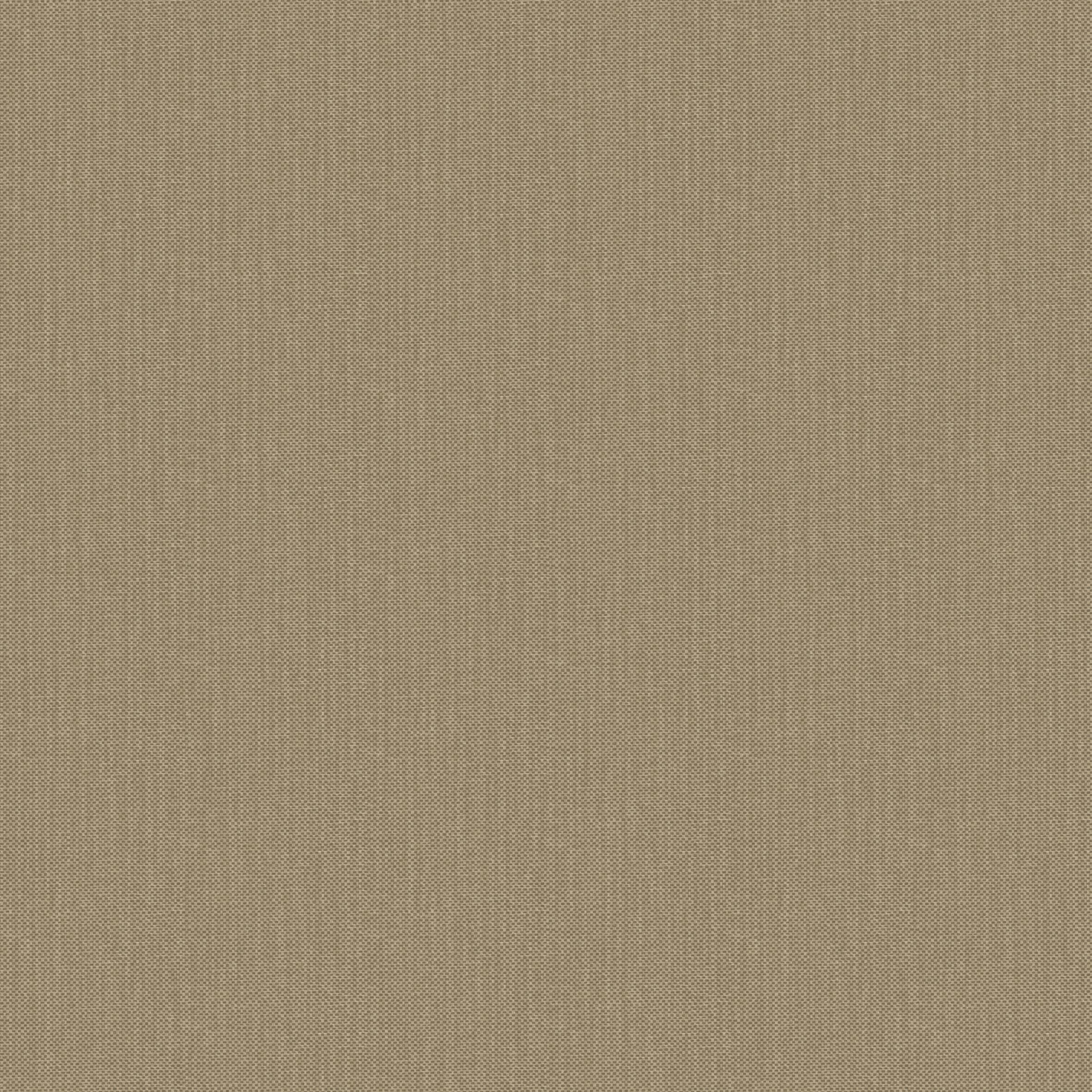 NAE2101561856